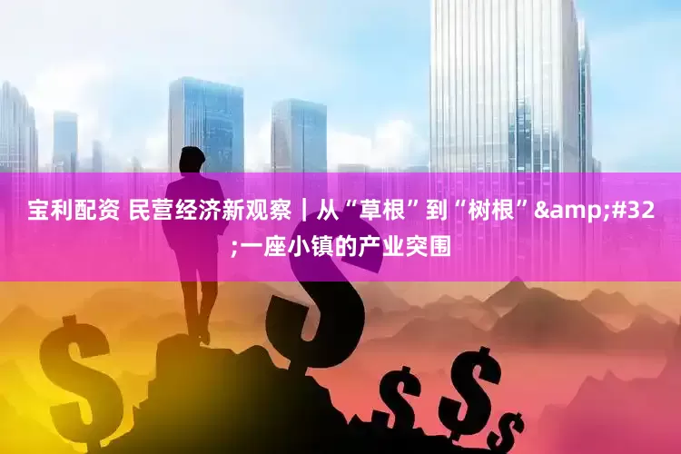 宝利配资 民营经济新观察｜从“草根”到“树根”&#32;一座小镇的产业突围